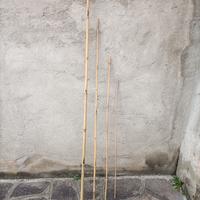 CANNE DI BAMBÙ PER ORTO O GIARDINO