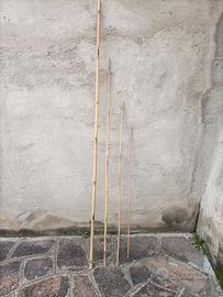 CANNE DI BAMBÙ PER ORTO O GIARDINO