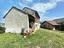 Immagine 26
