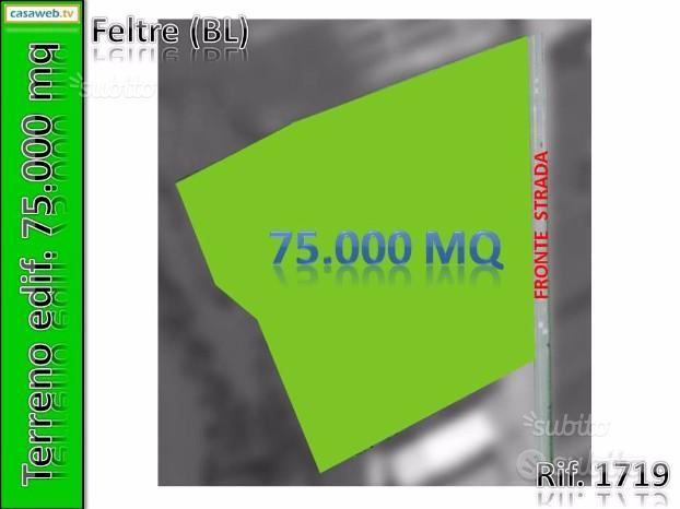 Terr. Edif. Ind.le 75.000 mq Feltre (BL) Rif. 1719