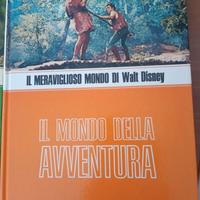 cofanetto di 4 libri in copertina rigida di Walt D