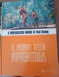 cofanetto di 4 libri in copertina rigida di Walt D