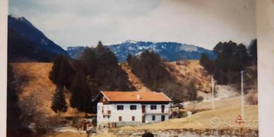 Casa vacanze per gruppi Arta Terme CASA DEL BABAU