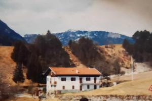 Casa vacanze per gruppi Arta Terme CASA DEL BABAU