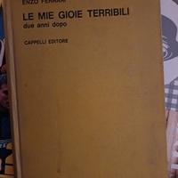 Libro Le mie gioie terribili: due anni dopo