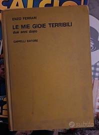 Libro Le mie gioie terribili: due anni dopo