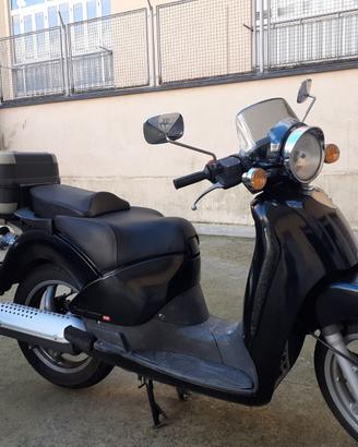 Scarabeo rotax 150