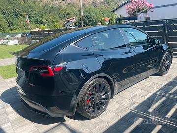 Tesla Model Y Performance