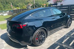 Tesla Model Y Performance
