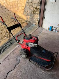 Trincia decespugliatore Biggs Stratton 850