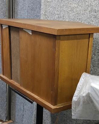 Casse Bose 901 II serie