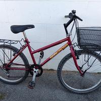 Bici per ragazzi/e 8-12 anni