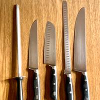 Set coltelli acciaio inox