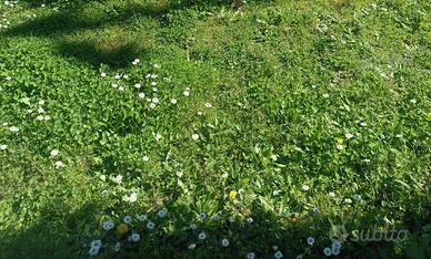 Rustico / Casale di 600 m² con più di 5 locali a C