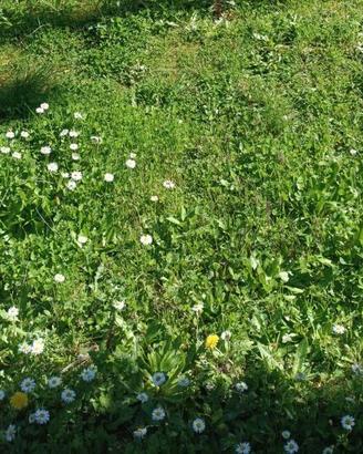Rustico / Casale di 600 m² con più di 5 locali a C