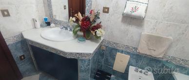 Appartamento con box