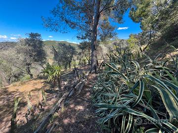 Villacidro - casetta in campagna