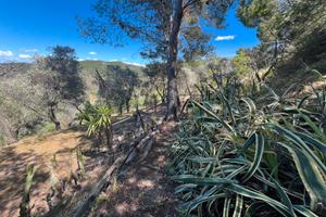 Villacidro - casetta in campagna