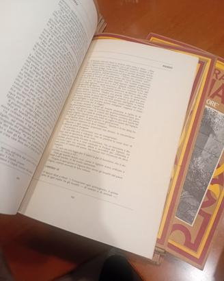 Enciclopedia in fascicoli. Sacra Bibbia