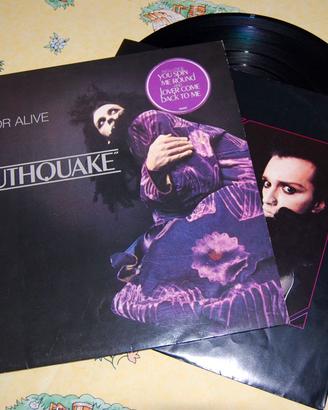 Dead Or Alive - Youthquake