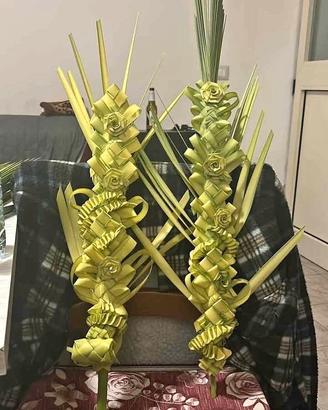 Palme