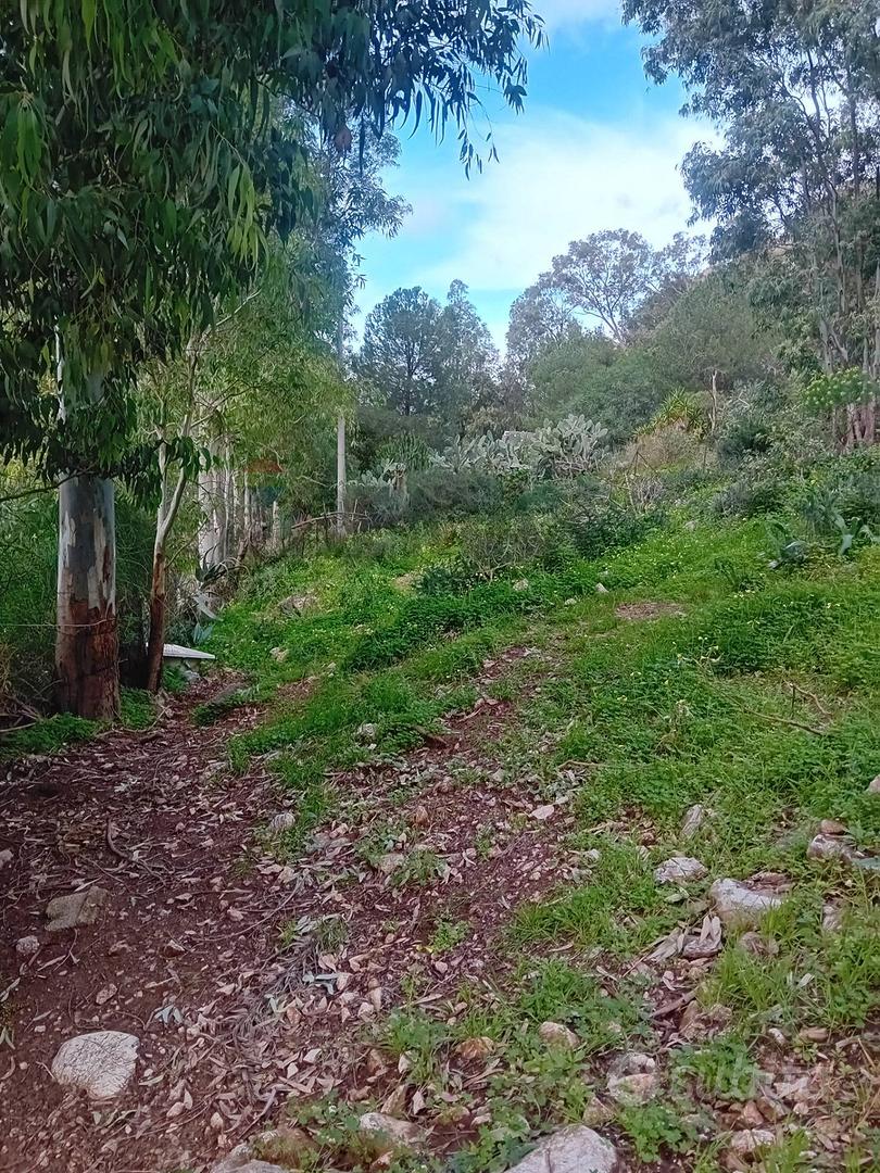 Terreno - Terrasini - Altro