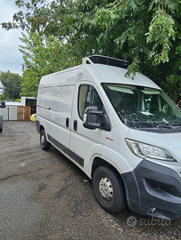 Ducato frigo atp