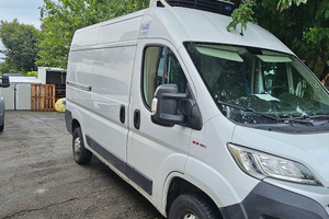 Ducato frigo atp