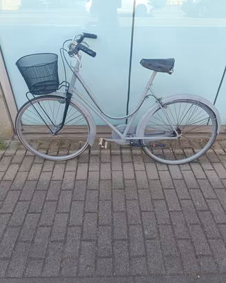 bici con cestino 