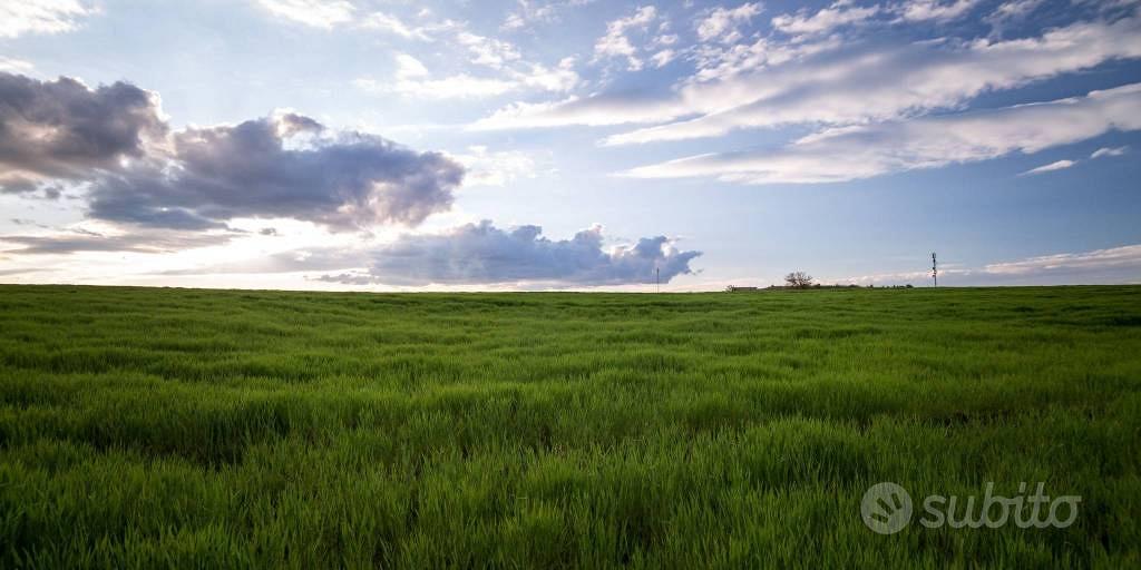 Terreno di 31530 m² a Lonato del Garda - Altro