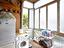 Immagine 26