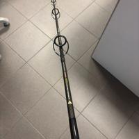 canna Artico Aquila Marina