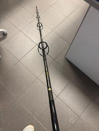 canna Artico Aquila Marina