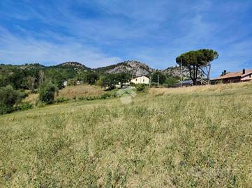 TER. AGRICOLO A POGGIO TORRIANA