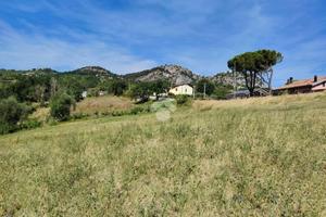 TER. AGRICOLO A POGGIO TORRIANA