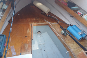 Pilotina Calcagno 2059