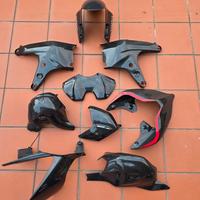 ducati panigale v4 carbonio 