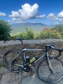 Bici da corsa carbonio