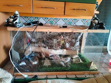  2 teche ciascuna di 1 metro 