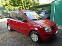 panda-1-2-08-distrib-e-lavori-fatti-ok-neop-