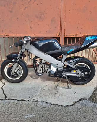 Minimoto Polini 910