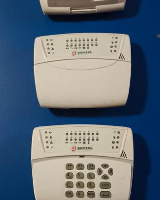 BENTEL Tastiere Alison/8L 2  pezzi