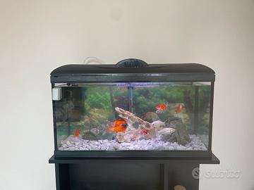 Acquario completo