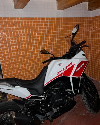 Moto Morini X-Cape 649(2024) - Pronta consegna