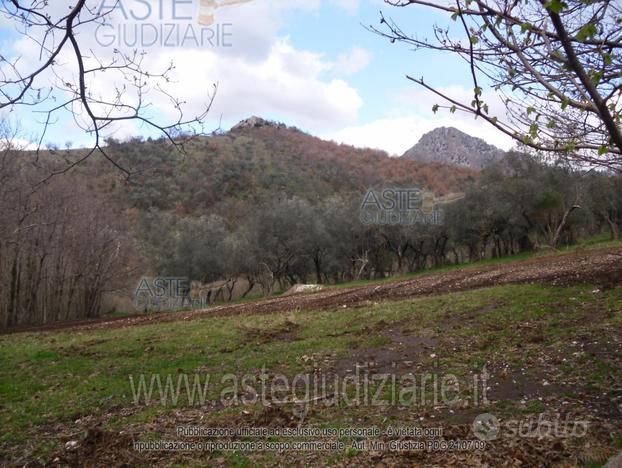 Terreno Agricolo Campagna [A4295014]