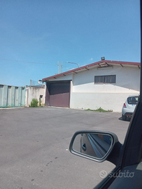 Capannone x attività di lavorazione agricole