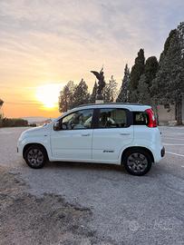 Panda allestimento K-way