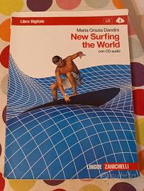 libro new surfing the World