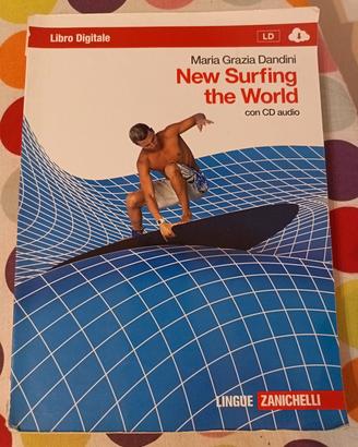 libro new surfing the World