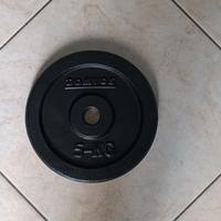 Dischi in ghisa per palestra 